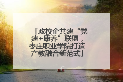 政校企共建“党建+康养”联盟，枣庄职业学院打造产教融合新范式
