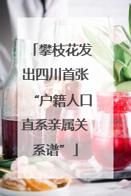 攀枝花发出四川首张“户籍人口直系亲属关系谱”