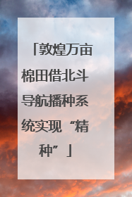 敦煌万亩棉田借北斗导航播种系统实现“精种”