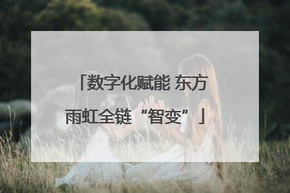 数字化赋能 东方雨虹全链“智变”
