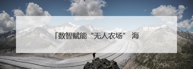 数智赋能“无人农场” 海州夏收上演“科技丰景”