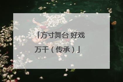 方寸舞台 好戏万千（传承）