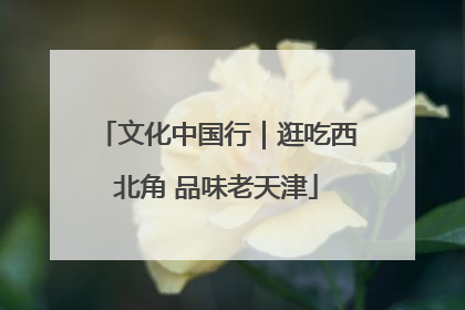 文化中国行｜逛吃西北角 品味老天津