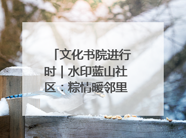 文化书院进行时｜水印蓝山社区：粽情暖邻里，端午共安康