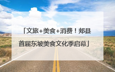 文旅+美食+消费！郏县首届东坡美食文化季启幕