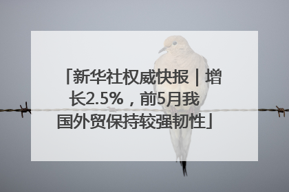 新华社权威快报｜增长2.5%，前5月我国外贸保持较强韧性