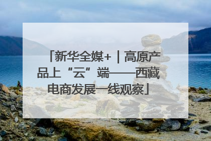 新华全媒+｜高原产品上“云”端——西藏电商发展一线观察