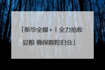 新华全媒+丨全力抢收夏粮 确保颗粒归仓