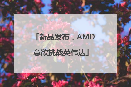 新品发布，AMD意欲挑战英伟达