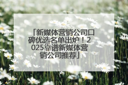 新媒体营销公司口碑优选名单出炉！2025靠谱新媒体营销公司推荐