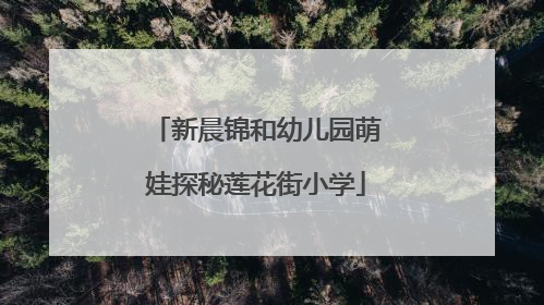 新晨锦和幼儿园萌娃探秘莲花街小学