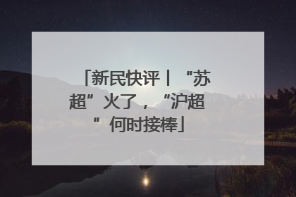 新民快评丨“苏超”火了，“沪超”何时接棒