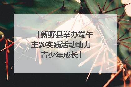 新野县举办端午主题实践活动助力青少年成长