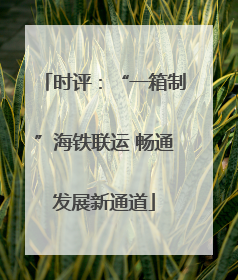 时评：“一箱制”海铁联运 畅通发展新通道