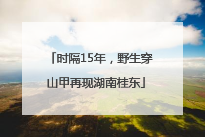 时隔15年，野生穿山甲再现湖南桂东