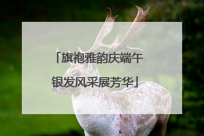 旗袍雅韵庆端午 银发风采展芳华