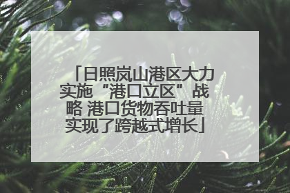 日照岚山港区大力实施“港口立区”战略 港口货物吞吐量实现了跨越式增长