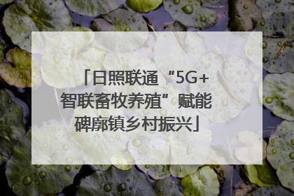 日照联通“5G+智联畜牧养殖”赋能碑廓镇乡村振兴