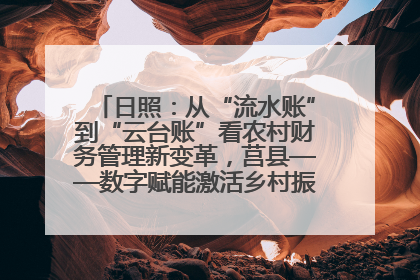 日照：从“流水账”到“云台账”看农村财务管理新变革，莒县——数字赋能激活乡村振兴“一池春水”