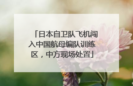 日本自卫队飞机闯入中国航母编队训练区，中方现场处置