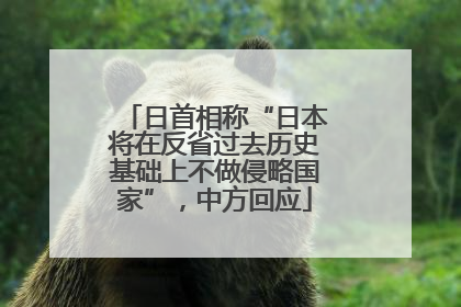 日首相称“日本将在反省过去历史基础上不做侵略国家”，中方回应