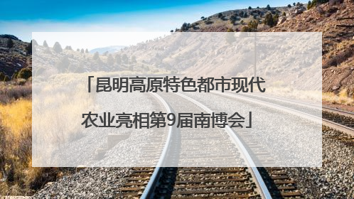 昆明高原特色都市现代农业亮相第9届南博会
