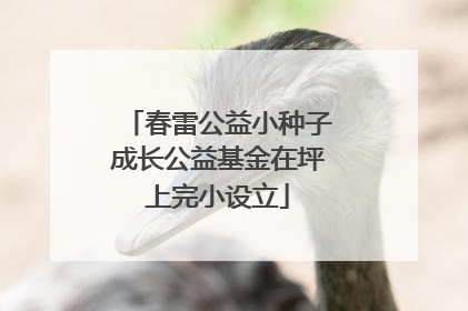 春雷公益小种子成长公益基金在坪上完小设立