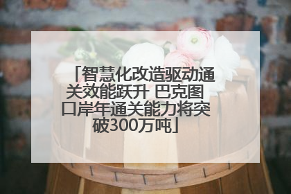 智慧化改造驱动通关效能跃升 巴克图口岸年通关能力将突破300万吨