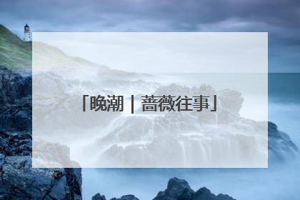 晚潮｜蔷薇往事