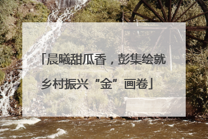 晨曦甜瓜香，彭集绘就乡村振兴“金”画卷