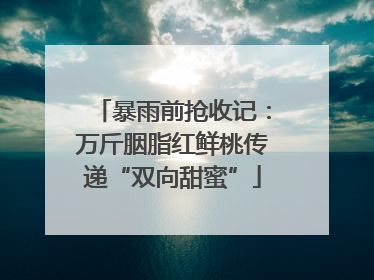 暴雨前抢收记：万斤胭脂红鲜桃传递“双向甜蜜”