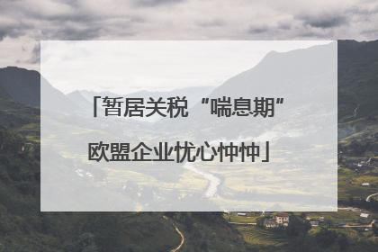 暂居关税“喘息期” 欧盟企业忧心忡忡