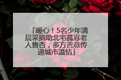 暖心！5名少年清晨采摘助北宅孤寡老人售杏，多方善意传递城市温情
