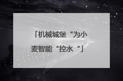 机械城堡“为小麦智能“控水“