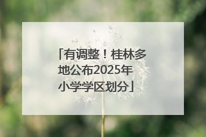 有调整！桂林多地公布2025年小学学区划分
