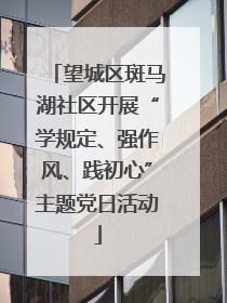 望城区斑马湖社区开展“学规定、强作风、践初心”主题党日活动