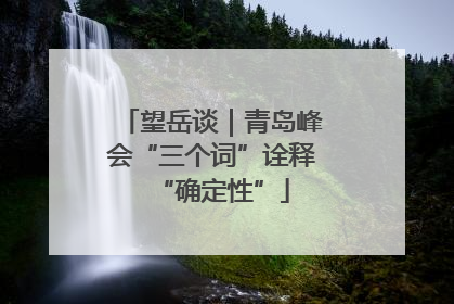 望岳谈｜青岛峰会“三个词”诠释“确定性”