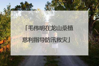 毛伟明在龙山桑植慈利指导防汛救灾