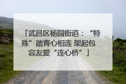 武昌区杨园街道：“特殊”踏青心相连 架起包容友爱“连心桥”