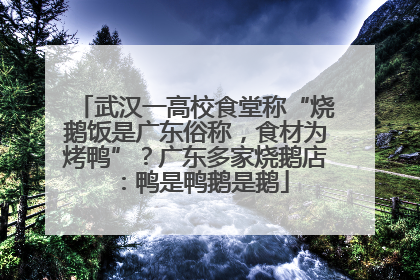 武汉一高校食堂称“烧鹅饭是广东俗称，食材为烤鸭”？广东多家烧鹅店：鸭是鸭鹅是鹅