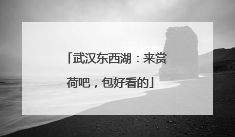 武汉东西湖：来赏荷吧，包好看的