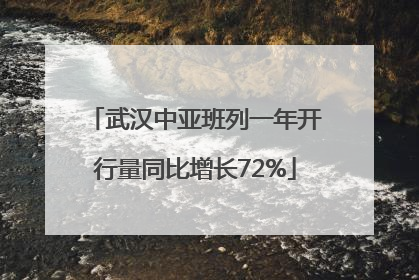 武汉中亚班列一年开行量同比增长72%