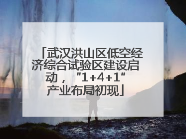 武汉洪山区低空经济综合试验区建设启动，“1+4+1”产业布局初现