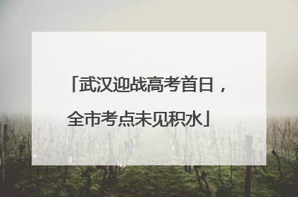 武汉迎战高考首日，全市考点未见积水