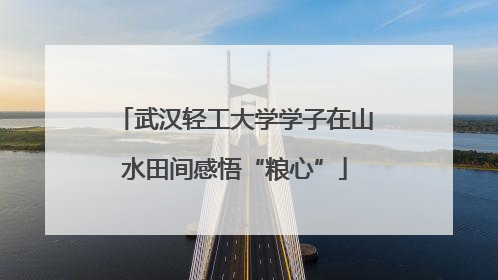 武汉轻工大学学子在山水田间感悟“粮心”
