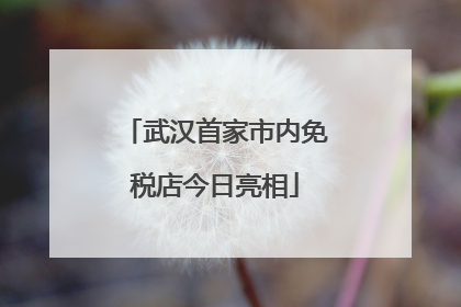 武汉首家市内免税店今日亮相