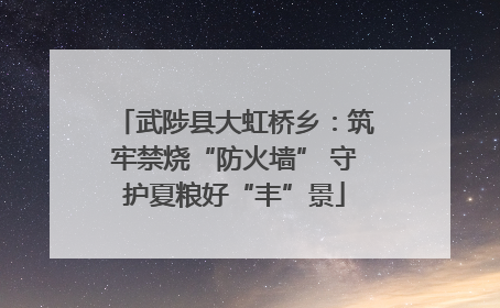 武陟县大虹桥乡：筑牢禁烧“防火墙” 守护夏粮好“丰”景