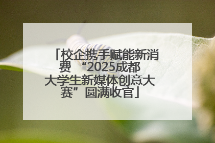 校企携手赋能新消费 “2025成都大学生新媒体创意大赛”圆满收官