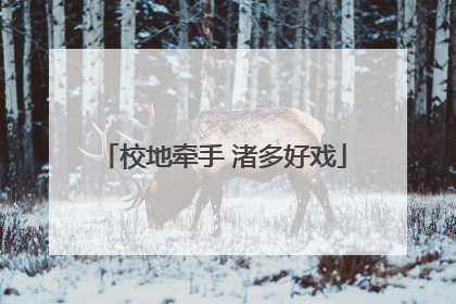 校地牵手 渚多好戏