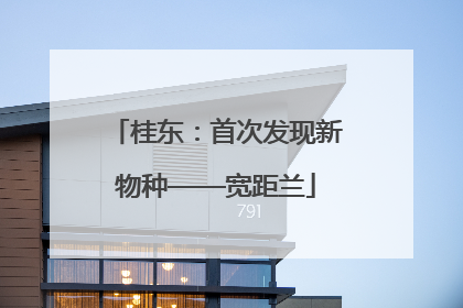 桂东：首次发现新物种——宽距兰